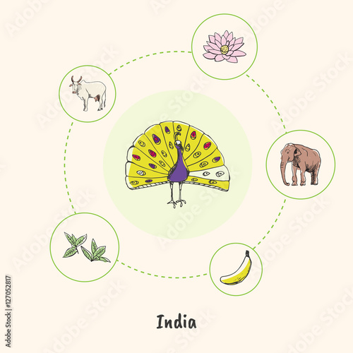 Attractive India. Peacock colorized doodle surrounded lotus flower, elephant, sacred cow, tea leaves, banana hand drawn vector icons. Indian religious, culinary, nature symbols. Travel in Asia concept