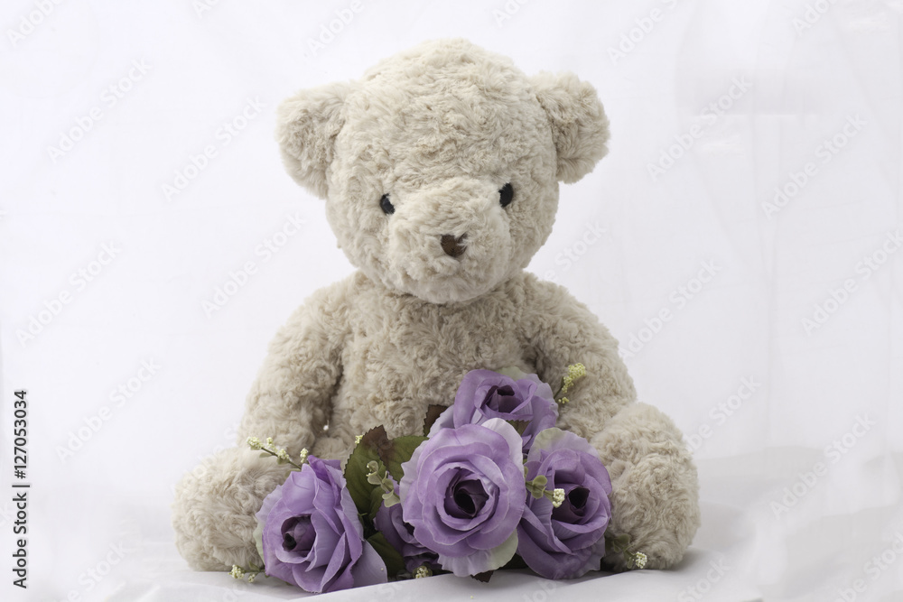 Teddy bear with purple roses on white background.