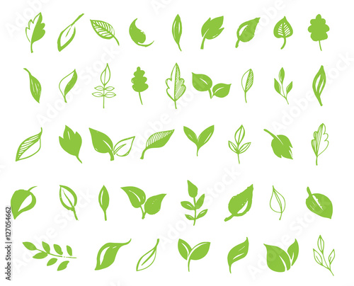 Fototapeta Zbiór wyciągnąć rękę liści, zielony liść, szkice i gryzmoły liści i roślin, zielone liście wektor zbiory