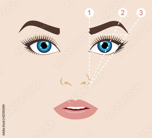 Woman face and eyebrow scheme. Trimming. How to shape your eyebrows at home. Makeup tips. Perfect brow shape for your face. Trendy mapping. 