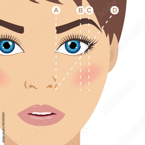 Woman face and eyebrow scheme. Trimming. How to shape your eyebrows at home. Makeup tips. Perfect brow shape for your face. Trendy mapping. 