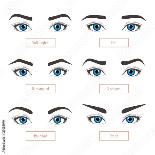 6 basic eyebrow shape types. Classic type and other. Eyebrows with eyes - stock vector illustration with captions. Fashion female brow. Trimming.