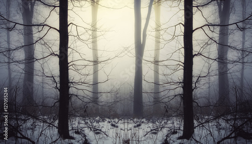 dreamy winter sunset landsc...