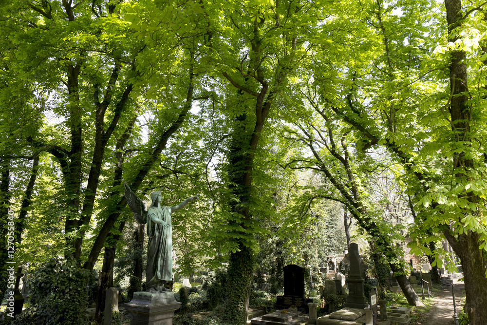 The Angel from the mystery old Prague Cemetery, Czech Republic The Angel from the mystery old Prague Cemetery, Czech Republic