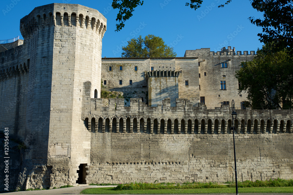 Popes Palace in Avignon