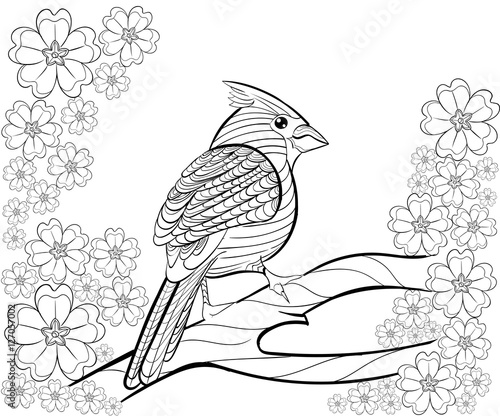 Hand drawn ink pattern. Coloring book for adult