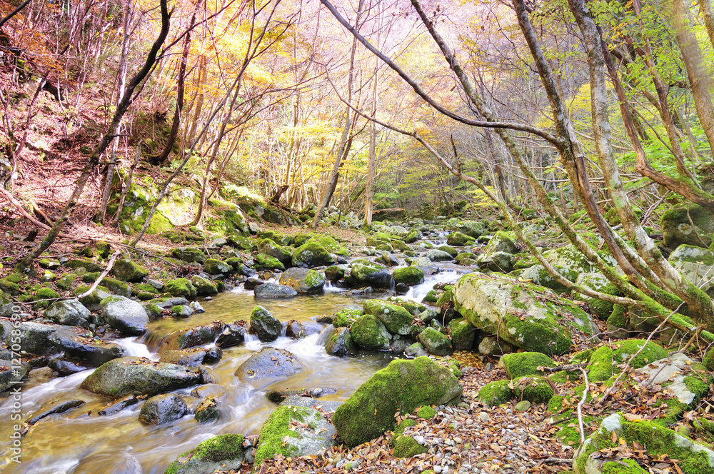 西日本の山・渓谷 西日本の山・渓谷