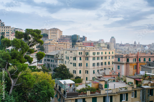 View over the life happening on the rooftops in the center of Genoa, Italy, and into the distance with the city vista and its many buildings, old and new. Framed with a green tree and cloudy sky