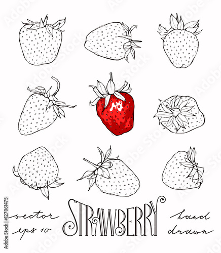 Set of vector strawberries.