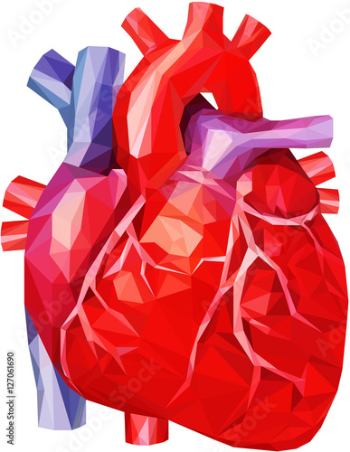 Human Heart in low poly