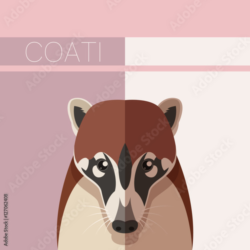 Flat postcard with Coati