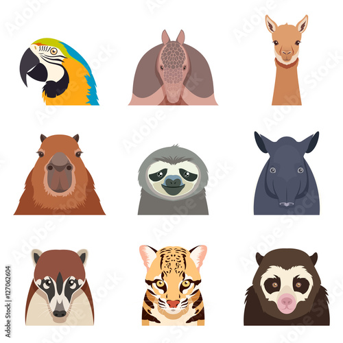 Set of south america animals flat icons