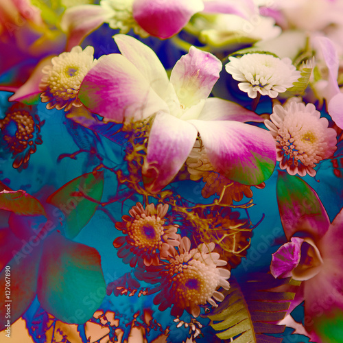 flower background. beautiful flowers made with color filters    