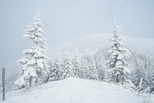 Winter landscape with fog in the mountains © Oleksandr Kotenko