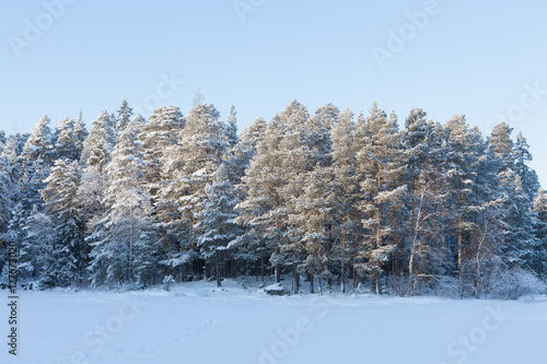 Frozen lake and snow covered forest