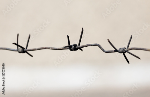 barbed wire outdoors as a background © schankz