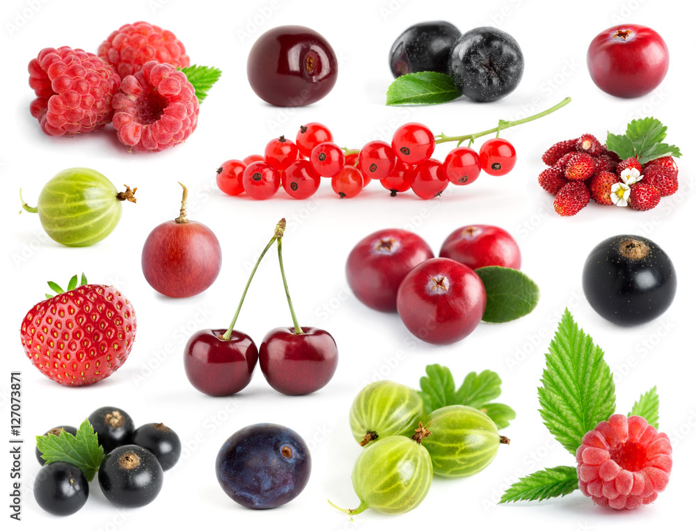 Fruit Fruit