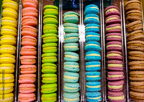 multicolored french macaroon