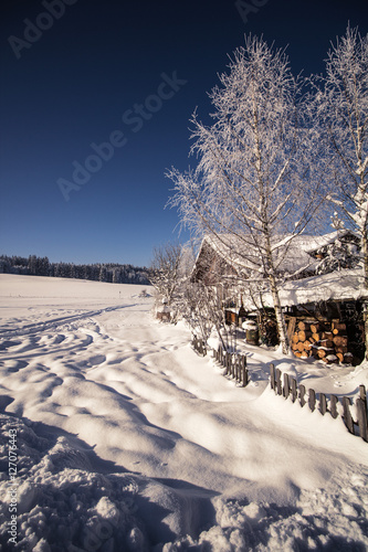 Schnee_2 photo