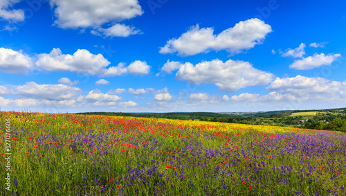  Fantastic sunny day flowering hills in the warm sunlight in the summer. dramatic sky with overcast clouds. majestic rural landscape. wonderful blooming field. beauty in the world
