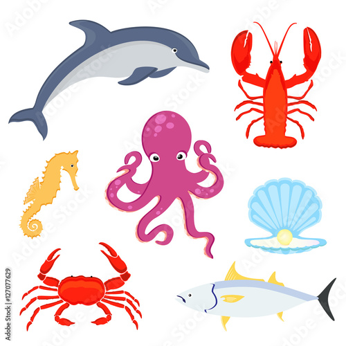 Sea creatures vector