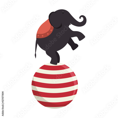 elephant circus entertainment icon vector illustration design