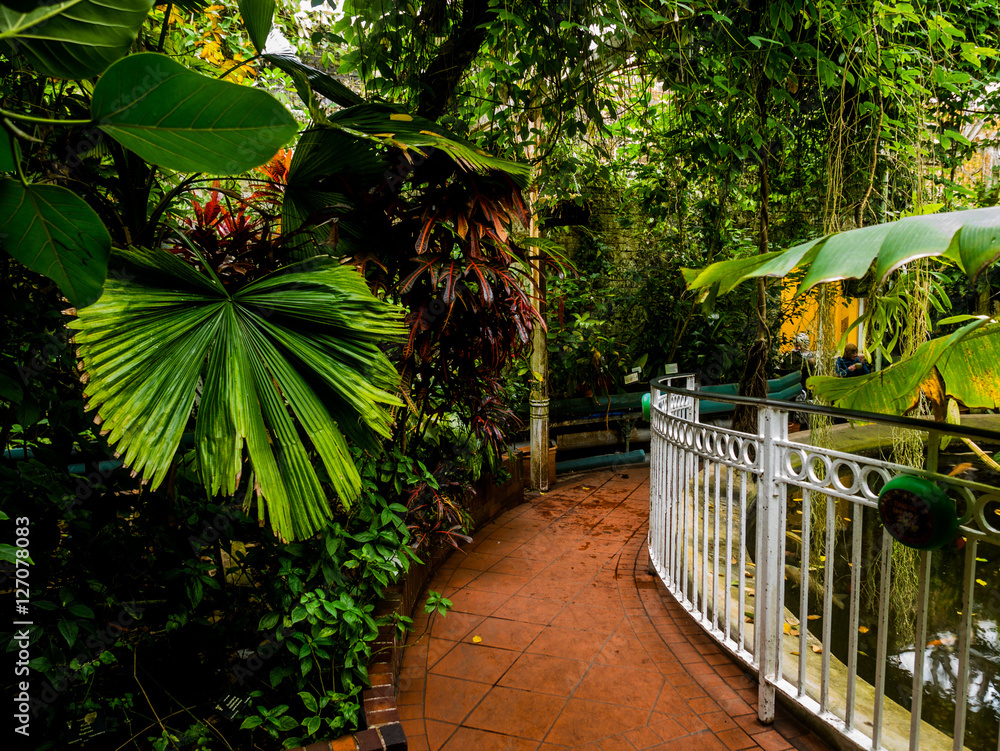 Obraz premium botanical gardens