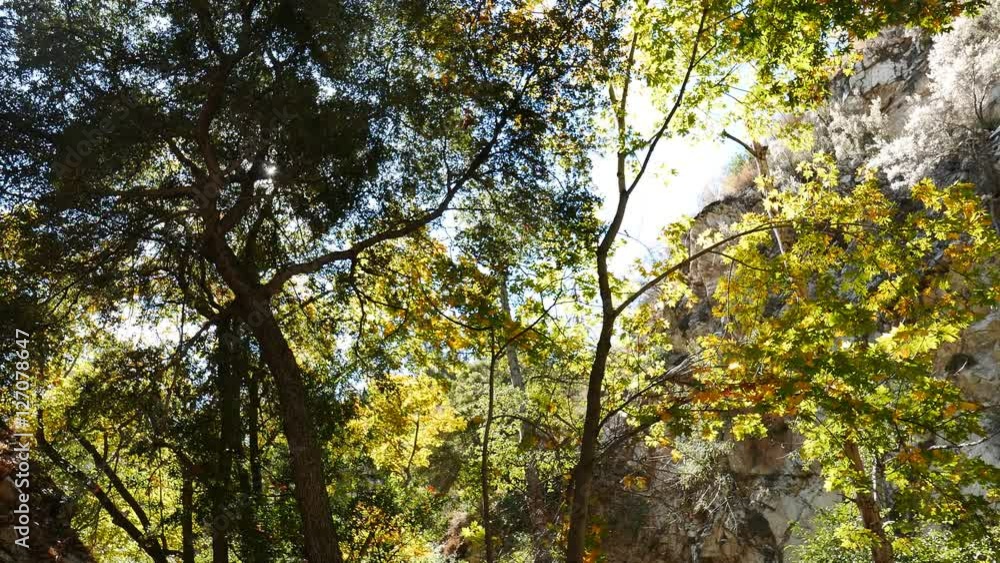 4K Video of beautiful fall color of Switzer Falls Trail, Los Angeles, California 4K Video of beautiful fall color of Switzer Falls Trail, Los Angeles, California