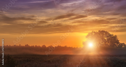 Wallpaper Mural wonderful dramatic scene. fantastic foggy sunrise over the meadow with colorful clouds on the sky. picturesque rural landscape, misty morning. color in nature. beauty in the world Torontodigital.ca