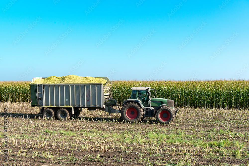 Obraz premium Traktor bei der Maisernte