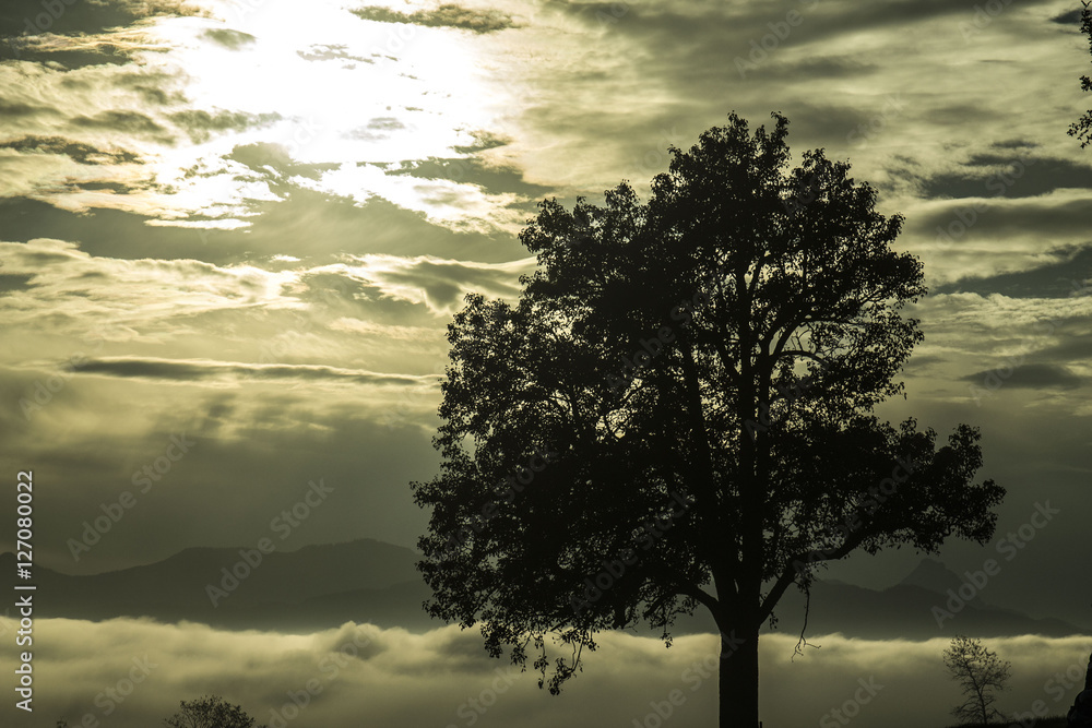 Herbst Herbst