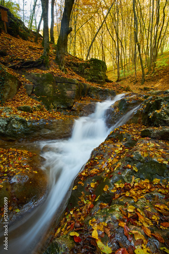 Autumn flowing stream