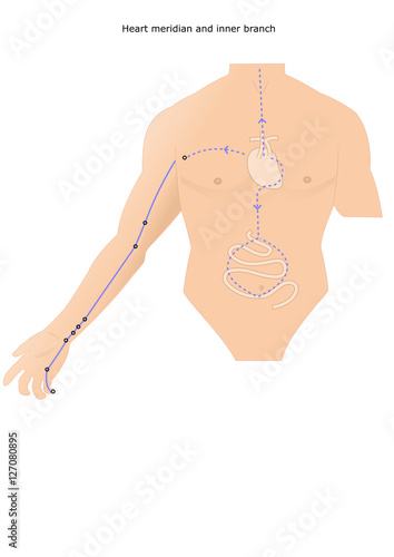 acupuncture meridian of the Heart and inner branches