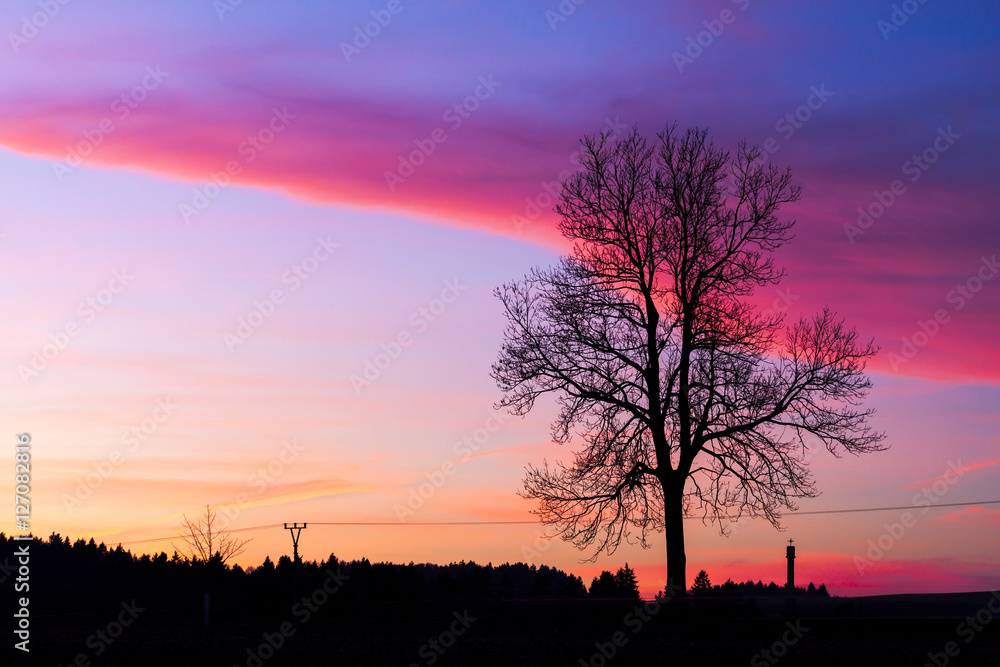 Sunset Landscape with Tree Silhouette Sunset Landscape with Tree Silhouette