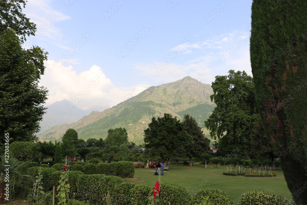 Nishat Garden or Nishat Bagh in Jammu and Kashmir state capital Srinagar is a very popular tourist landmark which attracts huge number of visitors each year.