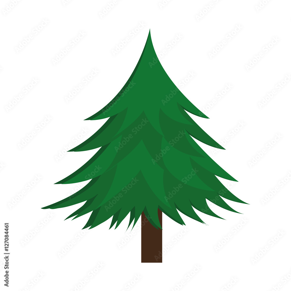 Fototapeta premium tree plant isolated icon vector illustration design