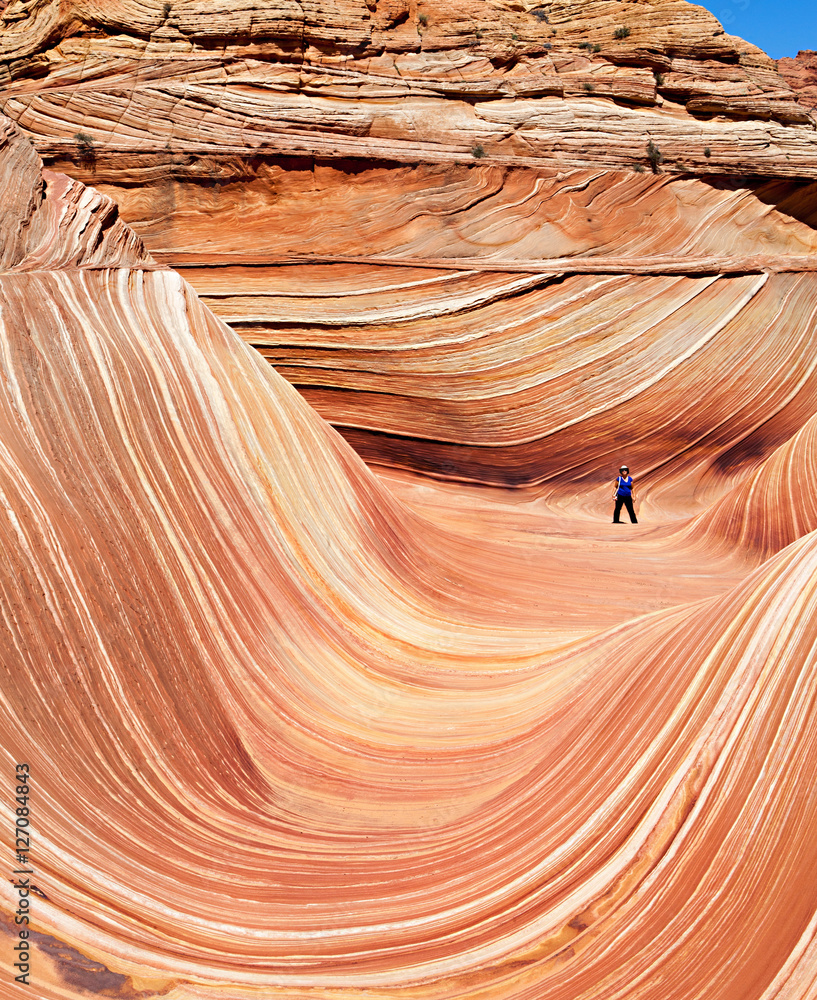 Obraz premium The Wave - Coyote Buttes South