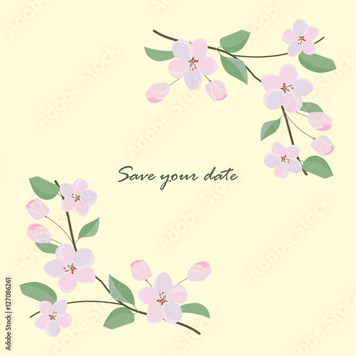 Frame from wild flowers. Unique decoration for greeting card with sakura branch  wedding invitation  save the date. Isolated floral design. Spring plant with space for your text. eps10 vector