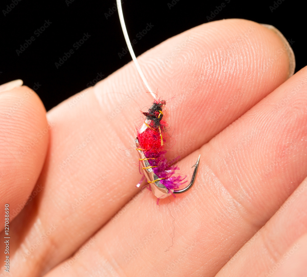 Obraz premium fly to catch fish in a hand on a black background