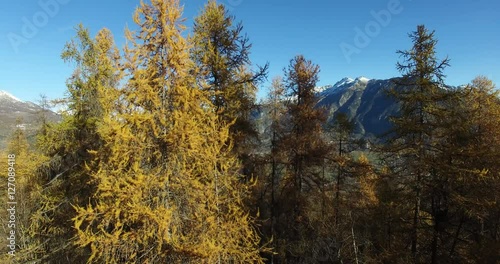 paysage de montagne en automne sous la neige en altitude photo