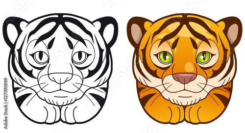 Fototapeta Naklejka Na Ścianę i Meble -  tiger
