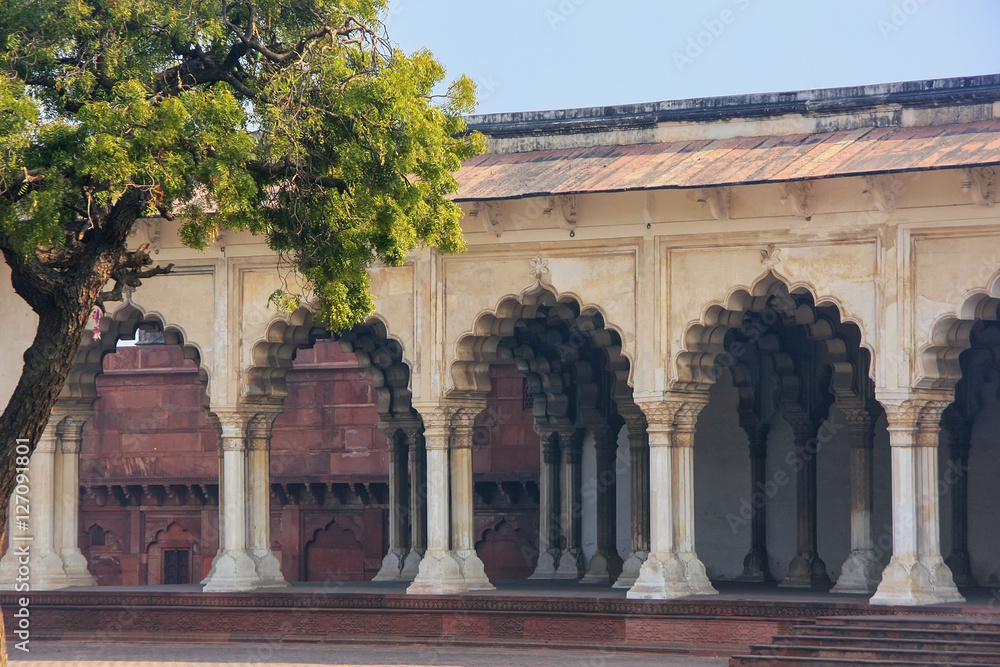 Fototapeta premium Diwan-i-Am - Hall of Public Audience in Agra Fort, Uttar Pradesh