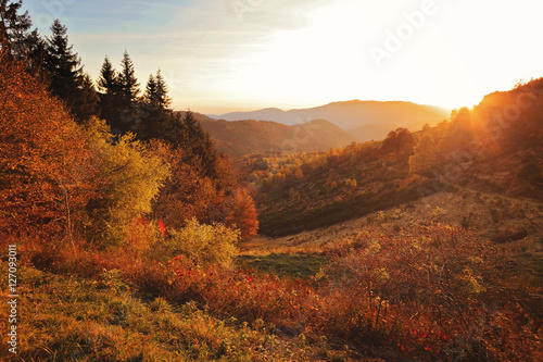 massif des Vosges en Alsace, France, couleurs automne photo