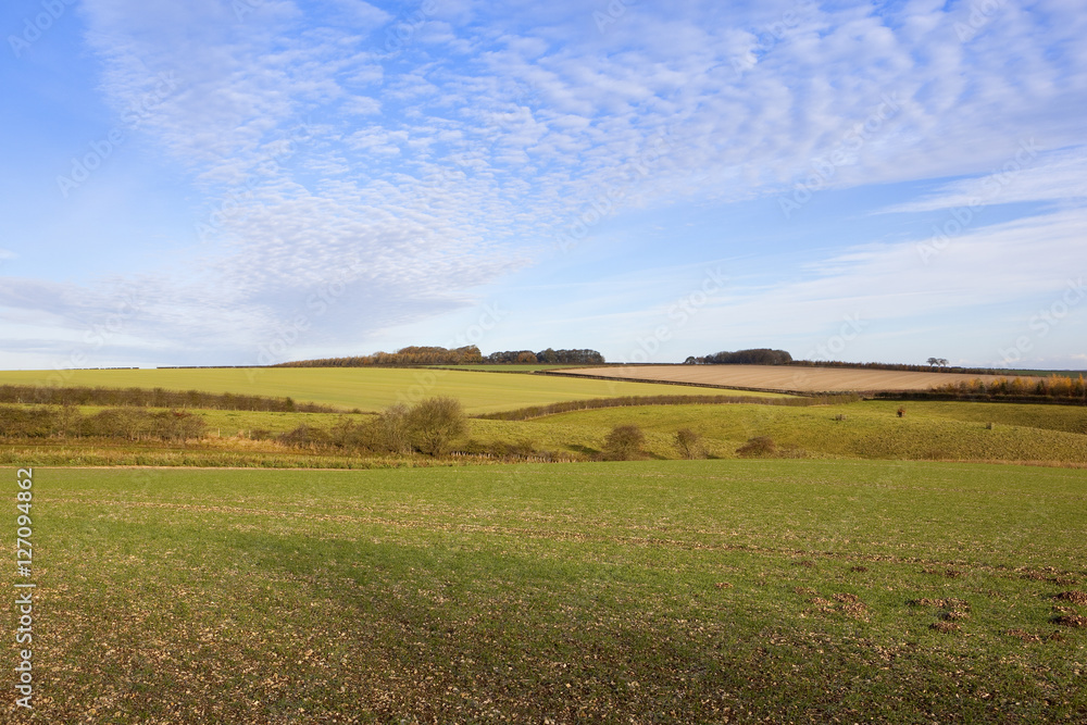 arable landscape in autumn