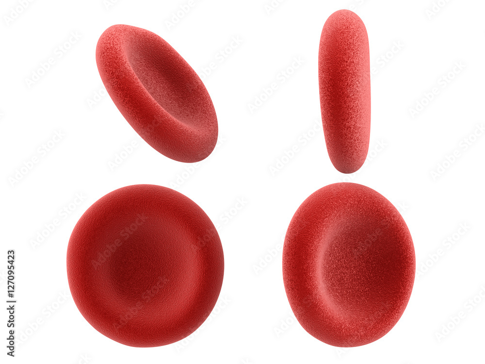 red blood cells isolated on white Stock Illustration | Adobe Stock
