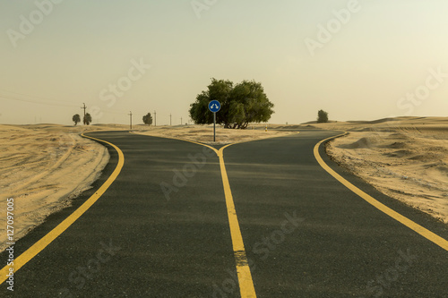 Photography Road in the desert covered in sand, Emirate of Abu Dhabi, UAE