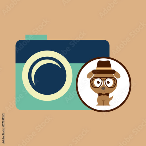 hipster dog symbol camera design vintage background vector illustration