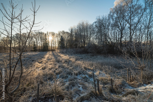 Frozy morning on Swedish farm field photo