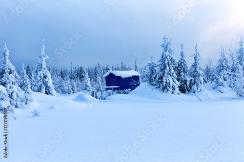 Lonely house in winter forest