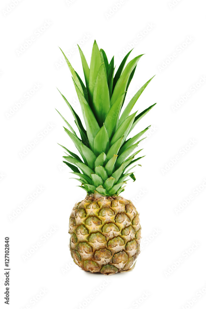 Ripe pineapple isolated on a white Ripe pineapple isolated on a white